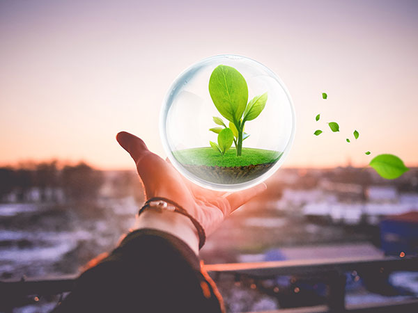 環(huán)保 環(huán)保